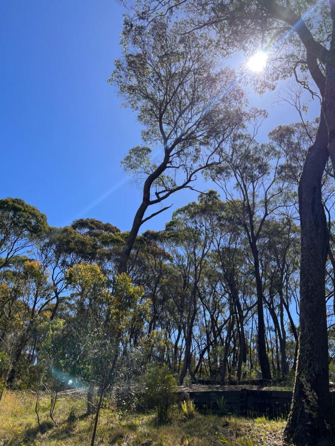 Katoomba Hideaway - Free Wifi, Netflix, Disney Plus Buitenkant foto
